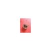 Embrayage occasion pour débroussailleuse Robin Nb231
