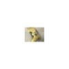 Réservoir occasion pour débroussailleuse Stihl Fs 108