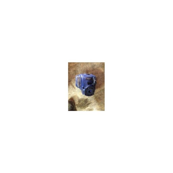 Lanceur occasion pour coupe bordure Einhel