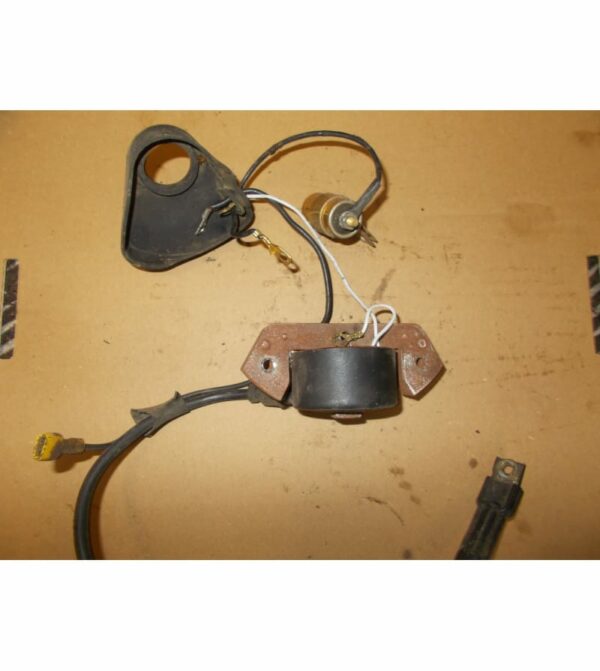 Bobine D'Allumage Pour Tondeuse 5.0HP | Compatible 1P64F 1P65F 1P68F 1P70F | Pièce Rechange Moteur